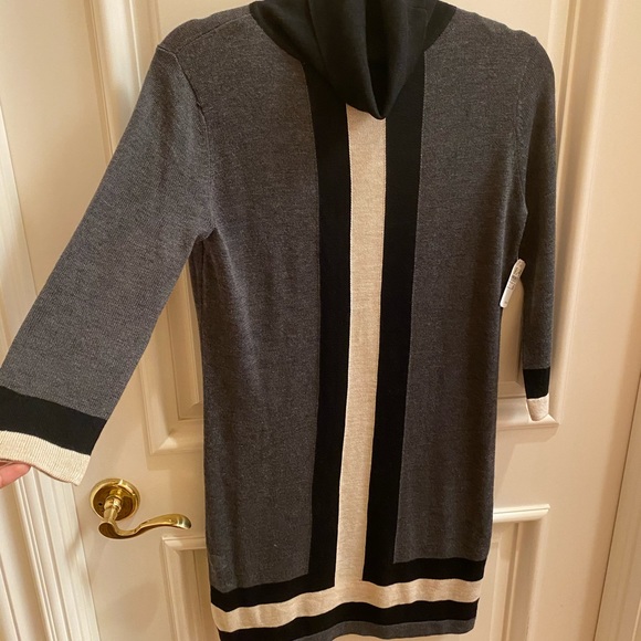 Brand new Gray Striped Sweater Dress - Picture 4 of 6